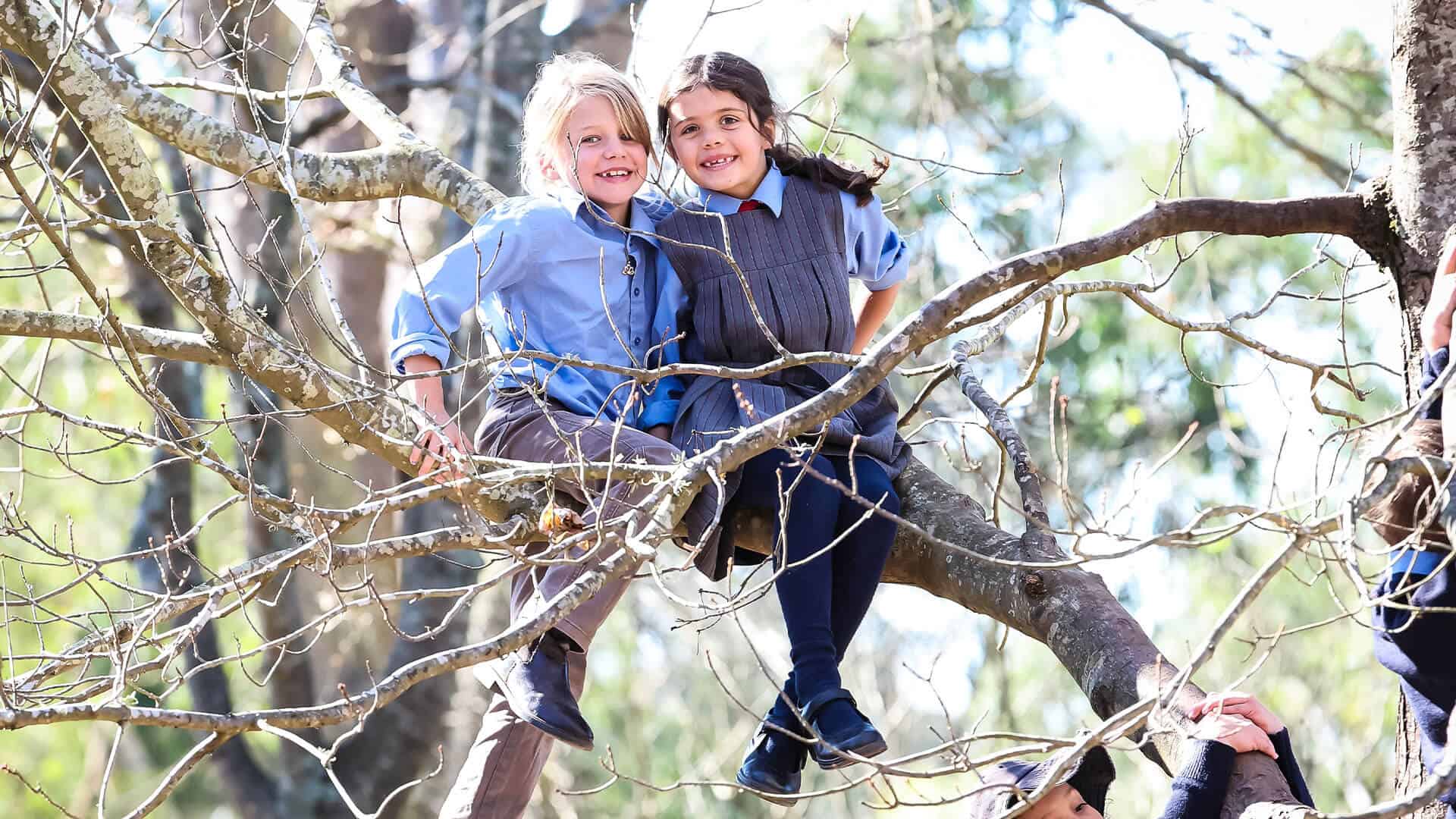 Tudor House students sitting in a tree branch smiling