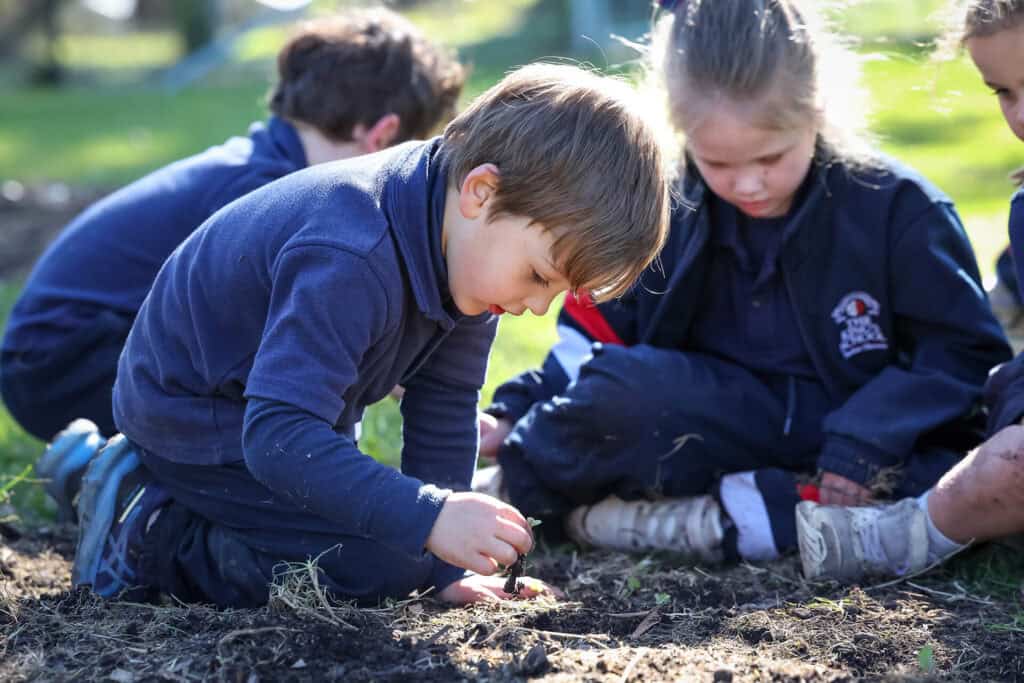 Tudor House pre-kindergarten students planting seedlings in the dirt