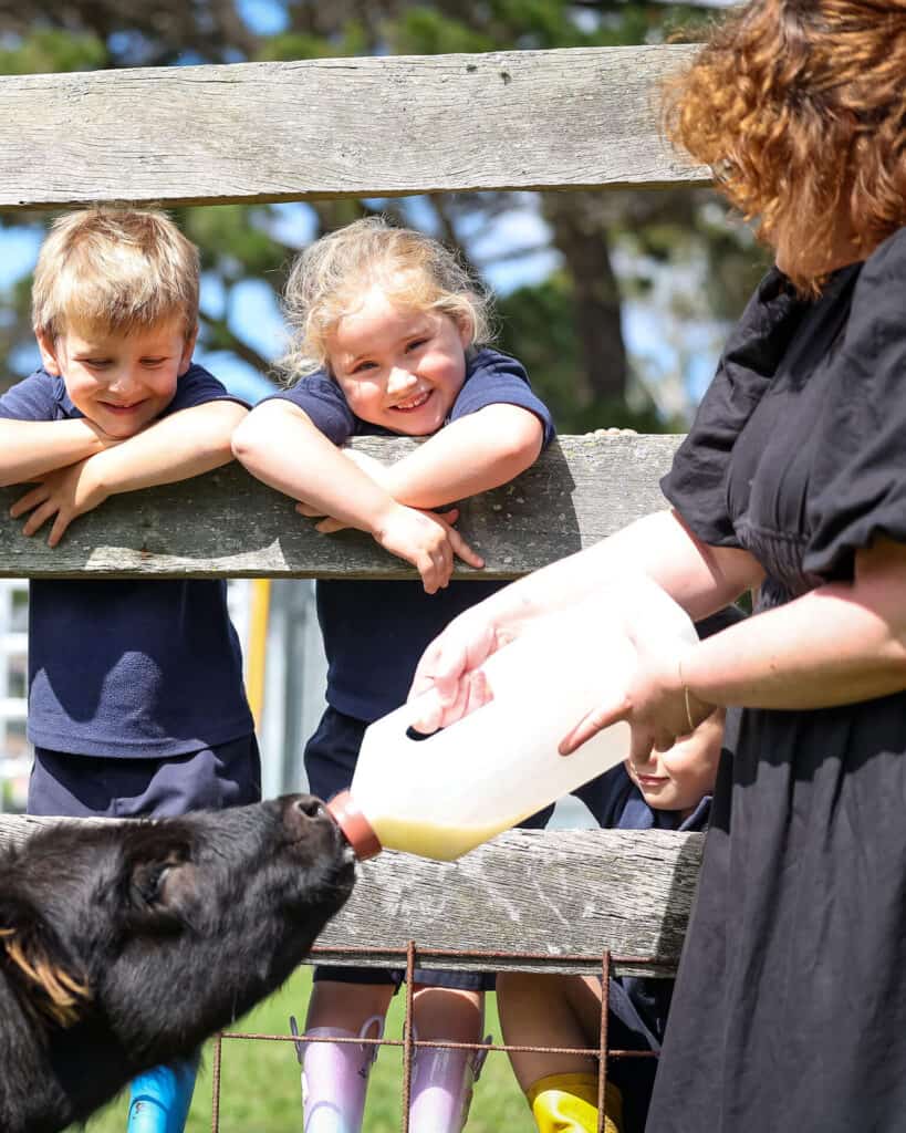 Tudor House pre-kindergarten students watching a teacher feed a cow milk
